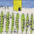 Dessin #14 : les voyageurs aux vendanges 